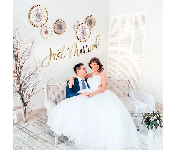 Just Married Bunting with 6 circle fans Wedding Decoration